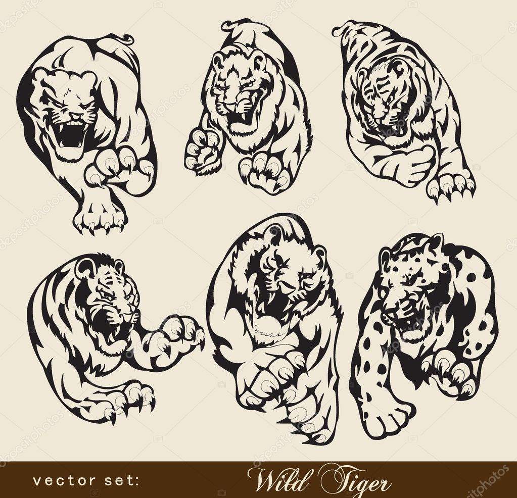 Vector Tiger