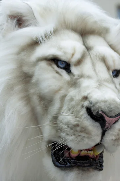Head of a white lion, stuffed animal