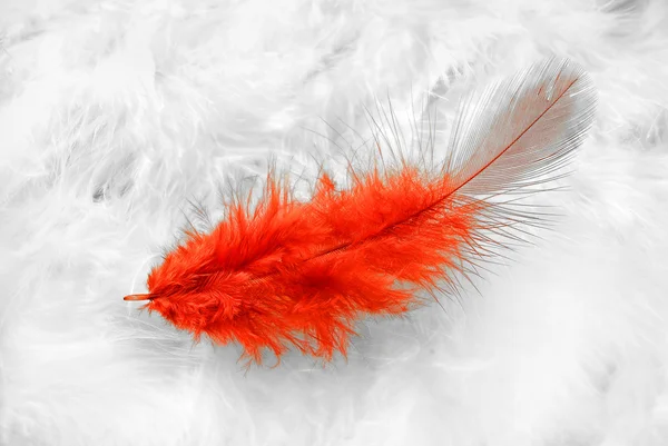 Red feather.