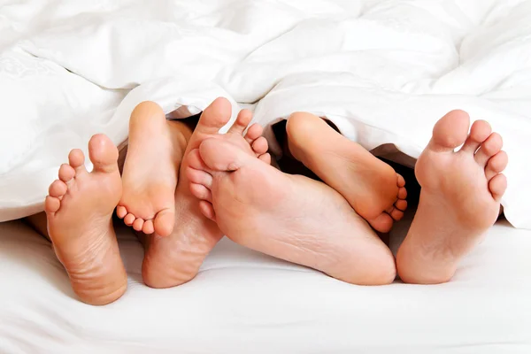 Feet of a family in bed under the covers.