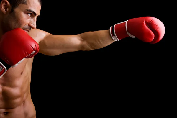 Young Boxer fighter over over black background