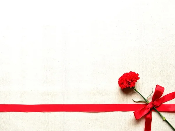 Red carnation with ribbon