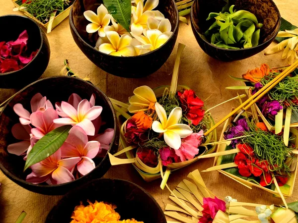 Asian tropical flower with Balinese Hindu offering