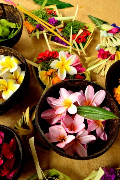 Asian tropical flower with Balinese Hindu offering