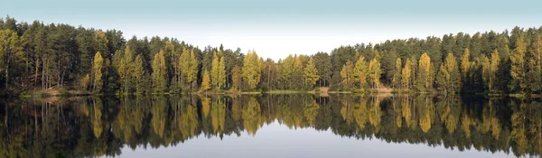 Wild forest lake