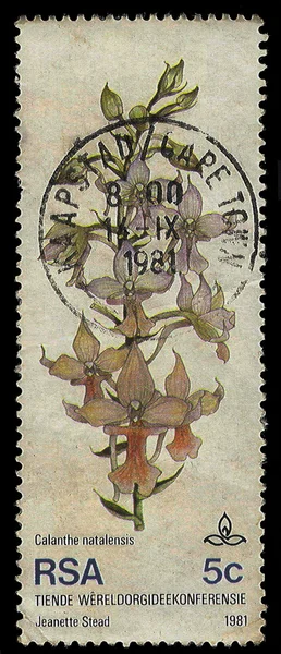 South Africa Postage Stamp Orchid 1981