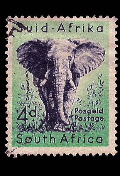 South Africa Postage Stamp African Elephant 1954