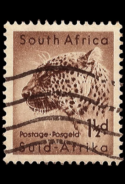 South Africa Postage StampLeopard 1954