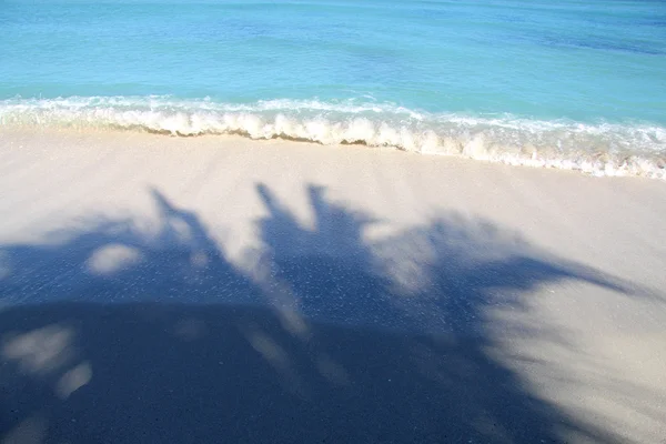 Wave on a white beach with the shadow of palm trees