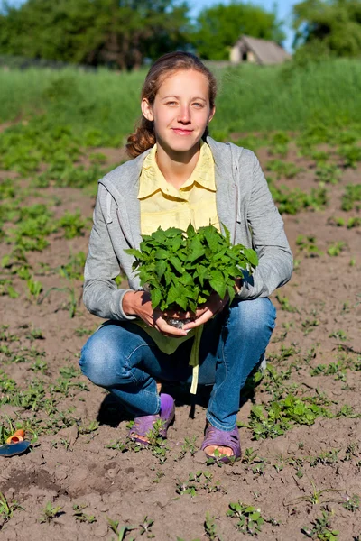 Happy Woman with Tomato Seedlings in the Garden