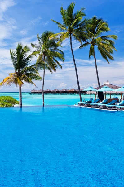 Infinity pool with umbrellas and palm trees over lagoon