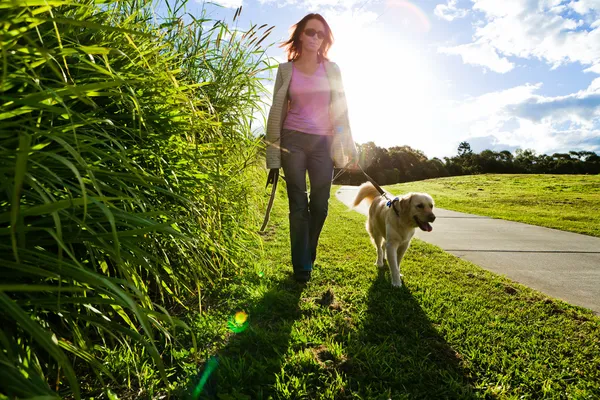 Young woman and golden retriever walking