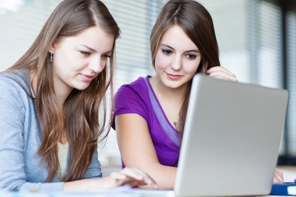 Two female college students working on a laptop computer during