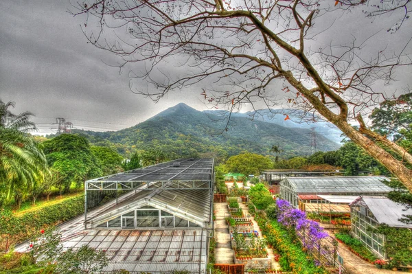 Greenhouse in countryside of Hong Kong, HDR image.