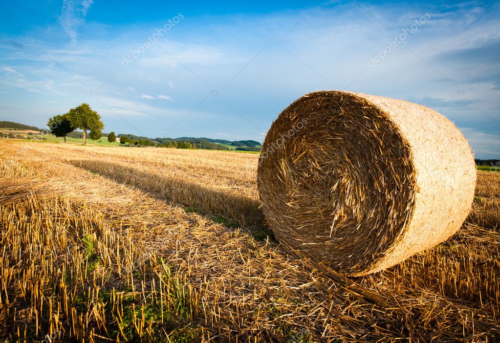 Hay Bale Icon