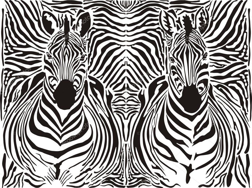 Real Zebra Pattern