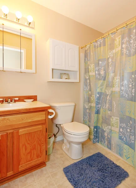 Simple small bathroom with purple rug.