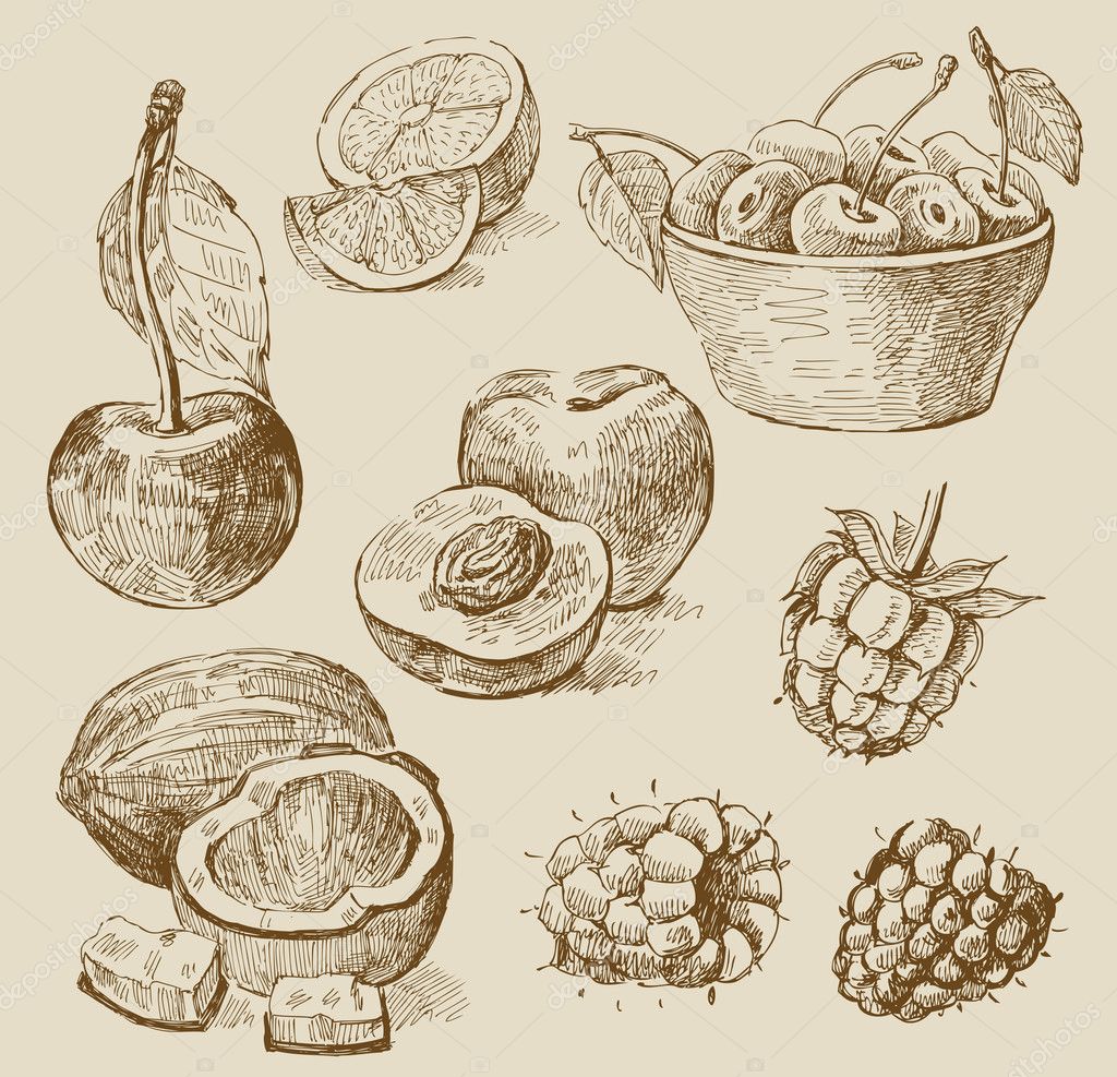 Fruit - illustration Fruit - illustration