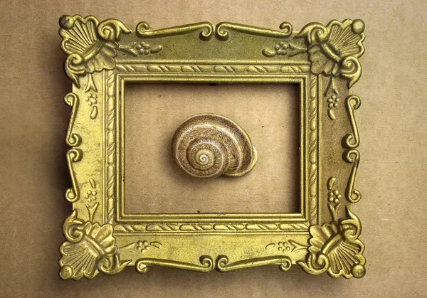 Snail in the frame — Stock Photo #9190004
