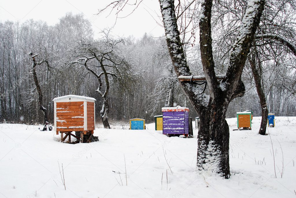 Beehouse Hives