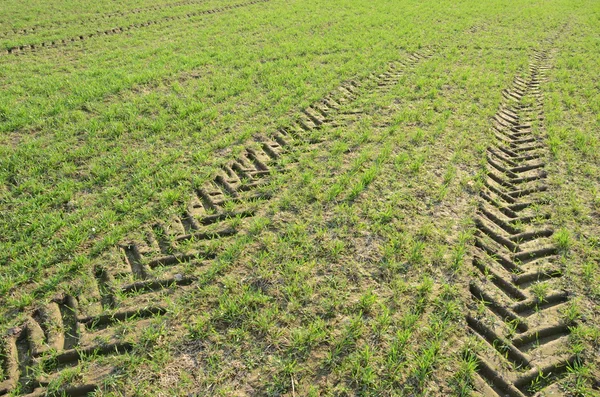 Background fields spring tractor wheel marks