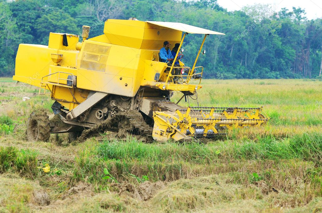 Paddy Harvesting Machine