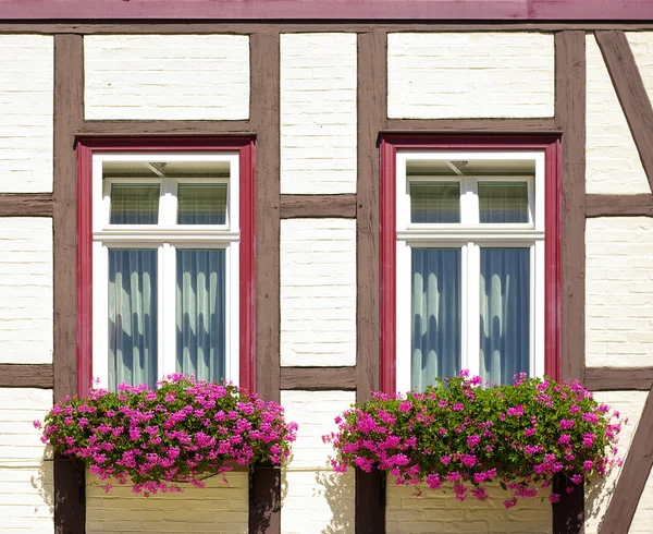 Windows with flower boxes at old frame-work house