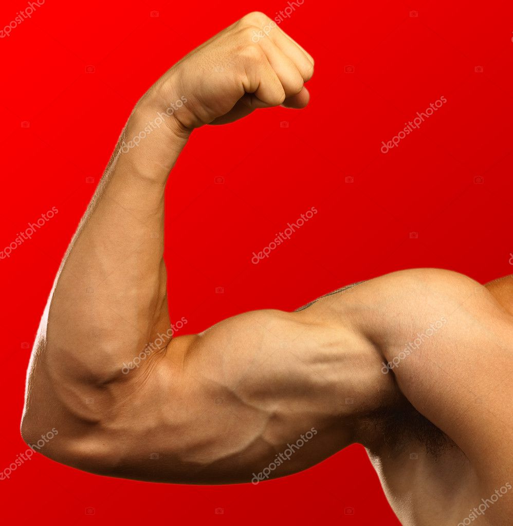 Strong biceps