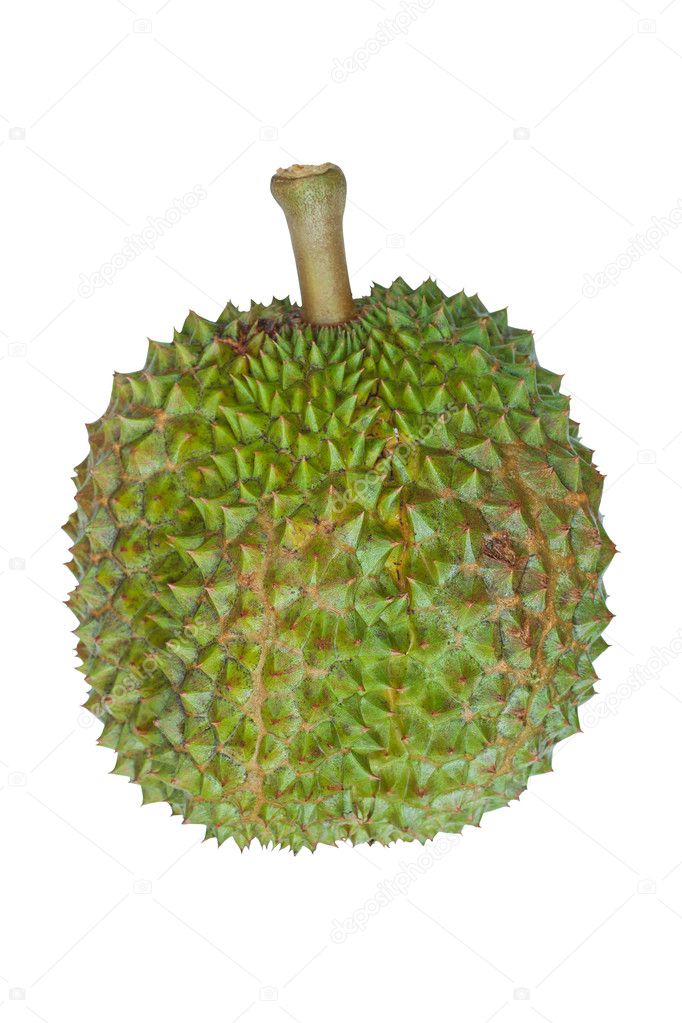 Durian Vector