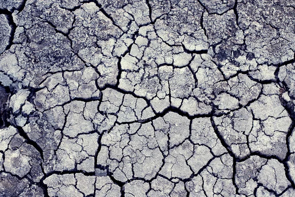 Chaotic cracks on dry land