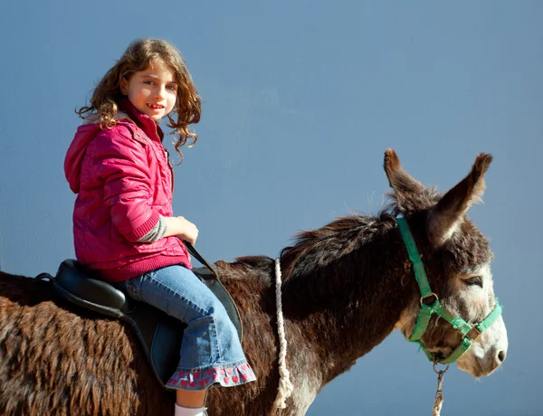 Donkey mule with kid little girl riding happy
