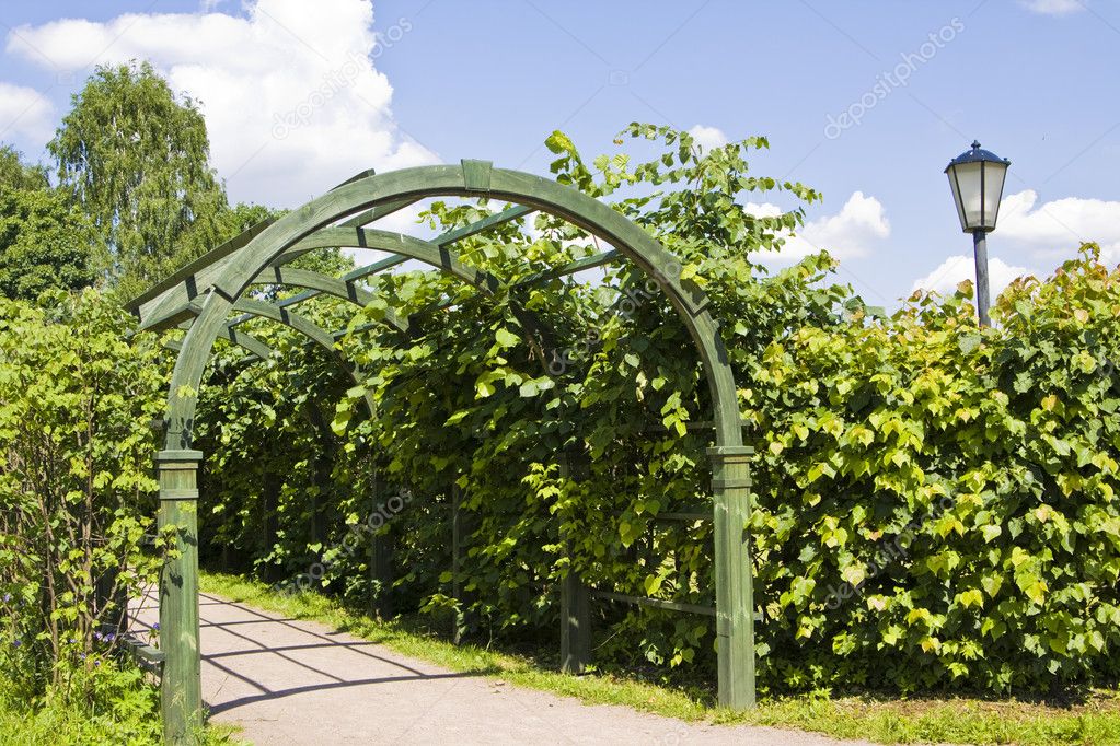 Garten Bogen — Stockfoto © Afonskaya 10684122
