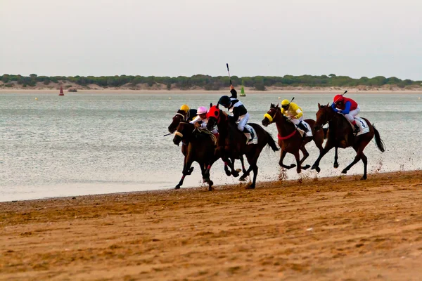 Horse race on Sanlucar of Barrameda, Spain, August 2011