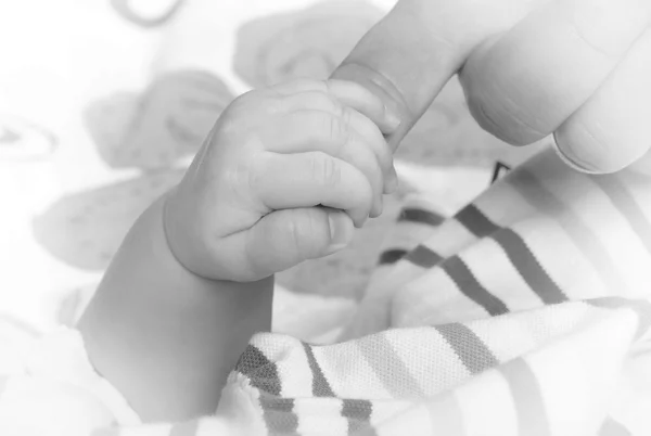 Small nursery hand keeps hand a father