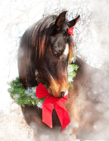 Dreamy Christmas image of a dark bay Arabian horse wearing a wreath