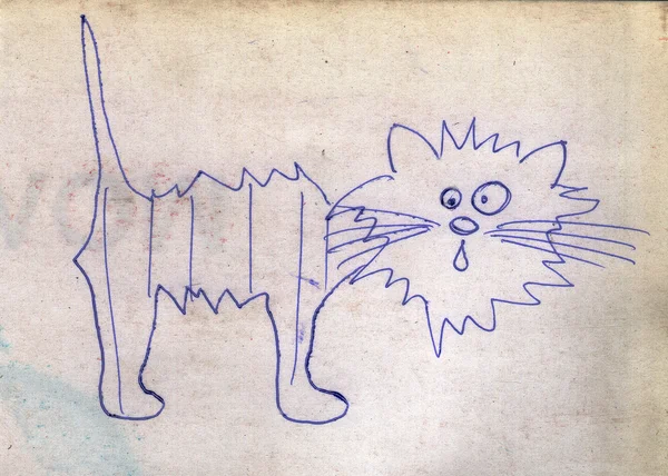 Ridiculous cat is drawn on the old paper