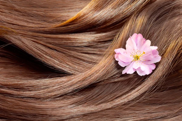 Beautiful healthy shiny hair texture with a flower, hair care co