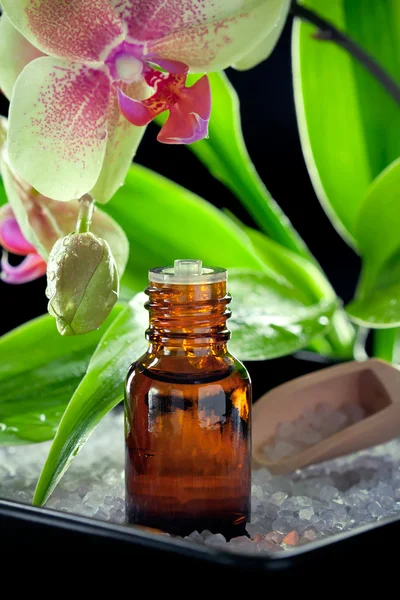 Bottle of essential oil with orchid flowers and bath salt, on bl