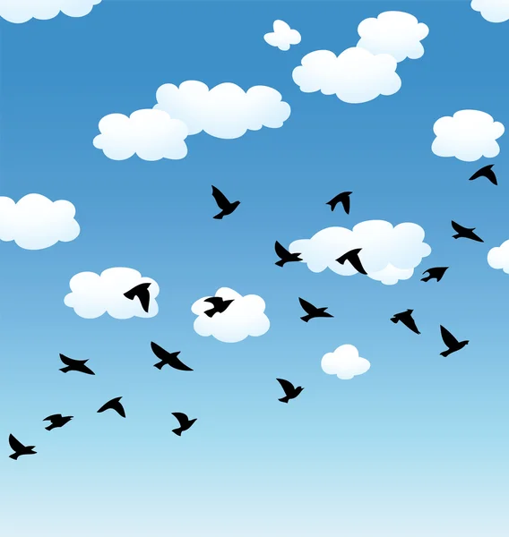 Vector flying birds and clouds in the sky