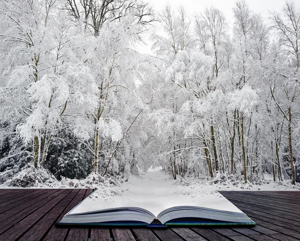 Winter wonderland in pages of magical book