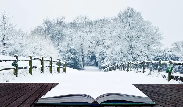 Winter wonderland snow landscape in pages of magic book