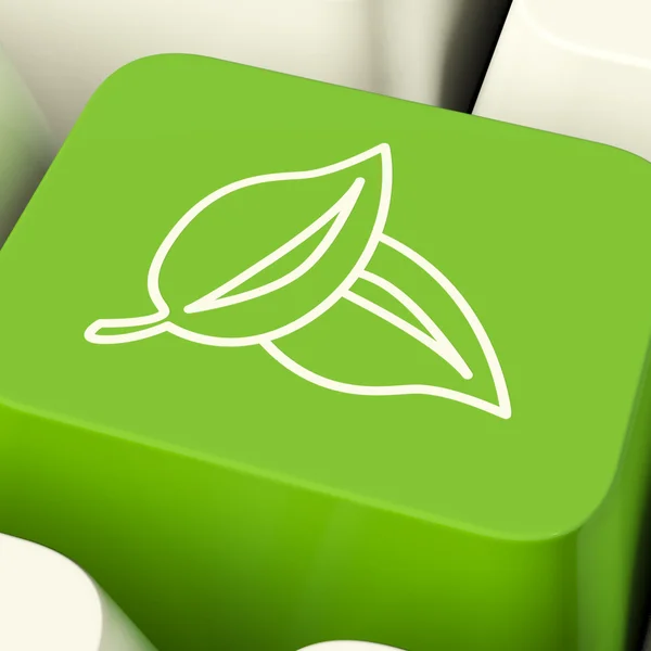 Leaves Icon Computer Key In Green Showing Recycling And Eco Frie