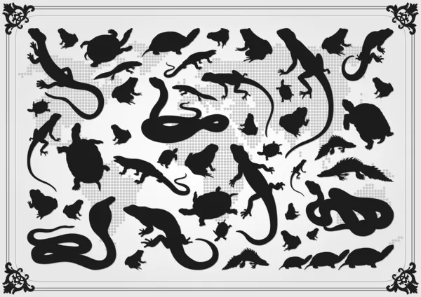Amphibian reptile environmental illustration collection background — Stock Vector #8075505