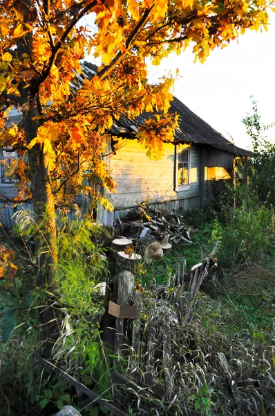 The old house in russian village, against a bright autumn maple