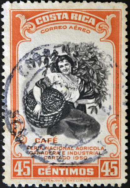 COSTA RICA - CIRCA 1950: A stamp printed in Costa Rica dedicated to agricultural fair, livestock and industrial Carthage, shows a woman picking coffee, circa 1950