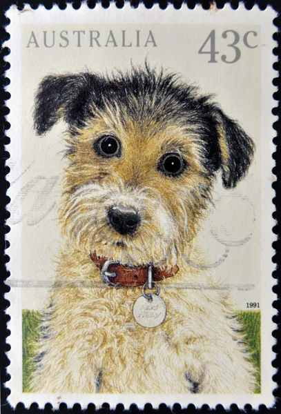 AUSTRALIA - CIRCA 1991: A stamp printed in Australia shows image of a puppy, circa 1991