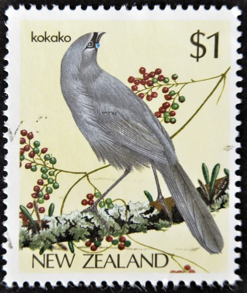 NEW ZEALAND - CIRCA 1985: stamp printed in New Zealand shows bird, Kokako, circa 1993.