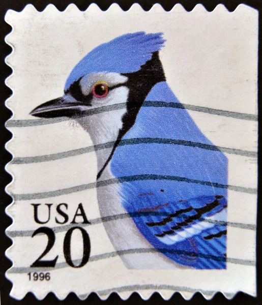 UNITED STATES OF AMERICA - CIRCA 1996: A stamp printed in USA shows Blue Jay Bird, circa 1996