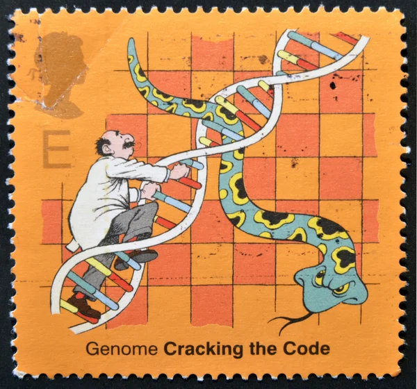 UNITED KINGDOM - CIRCA 2003: A stamp printed in Great Britain refers to the genome, cracking the code, circa 2003