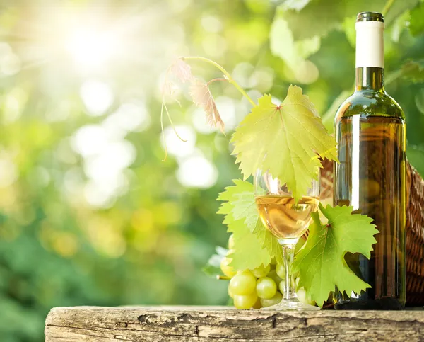 White wine bottle, vine, glass and bunch of grapes